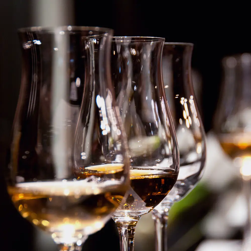 Tulip glasses of golden wine lined up along the bar