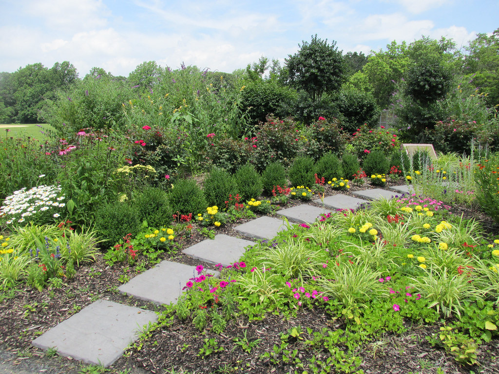 Gray stepping stones running through a dense bed of boxwood, marigolds, petunias and grasses