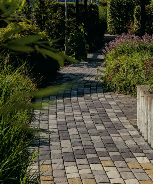 New paver walk beside a stacked-timber retaining edge and a purple heather border