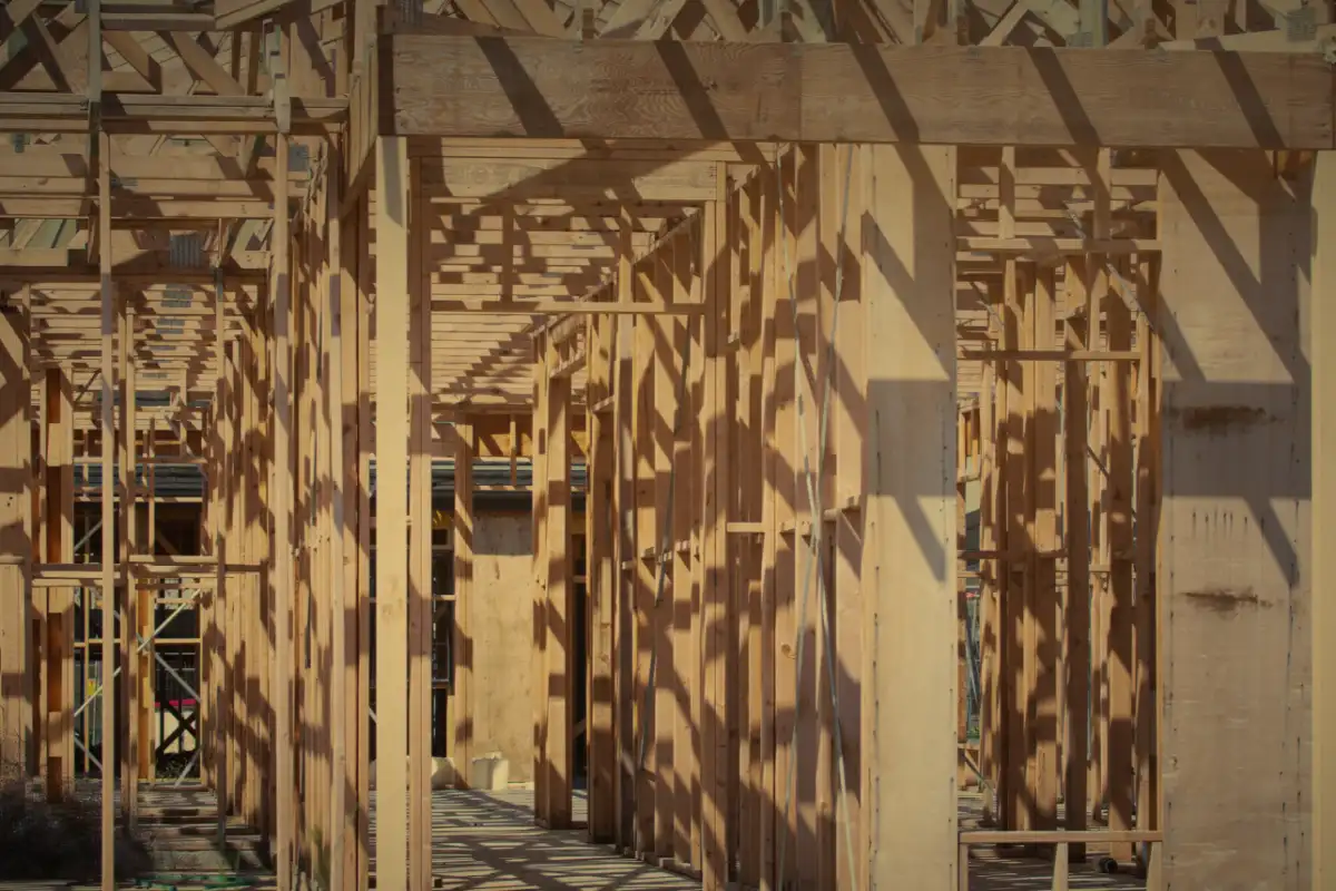Late sun falling through the open timber framing and roof trusses of a building under construction.