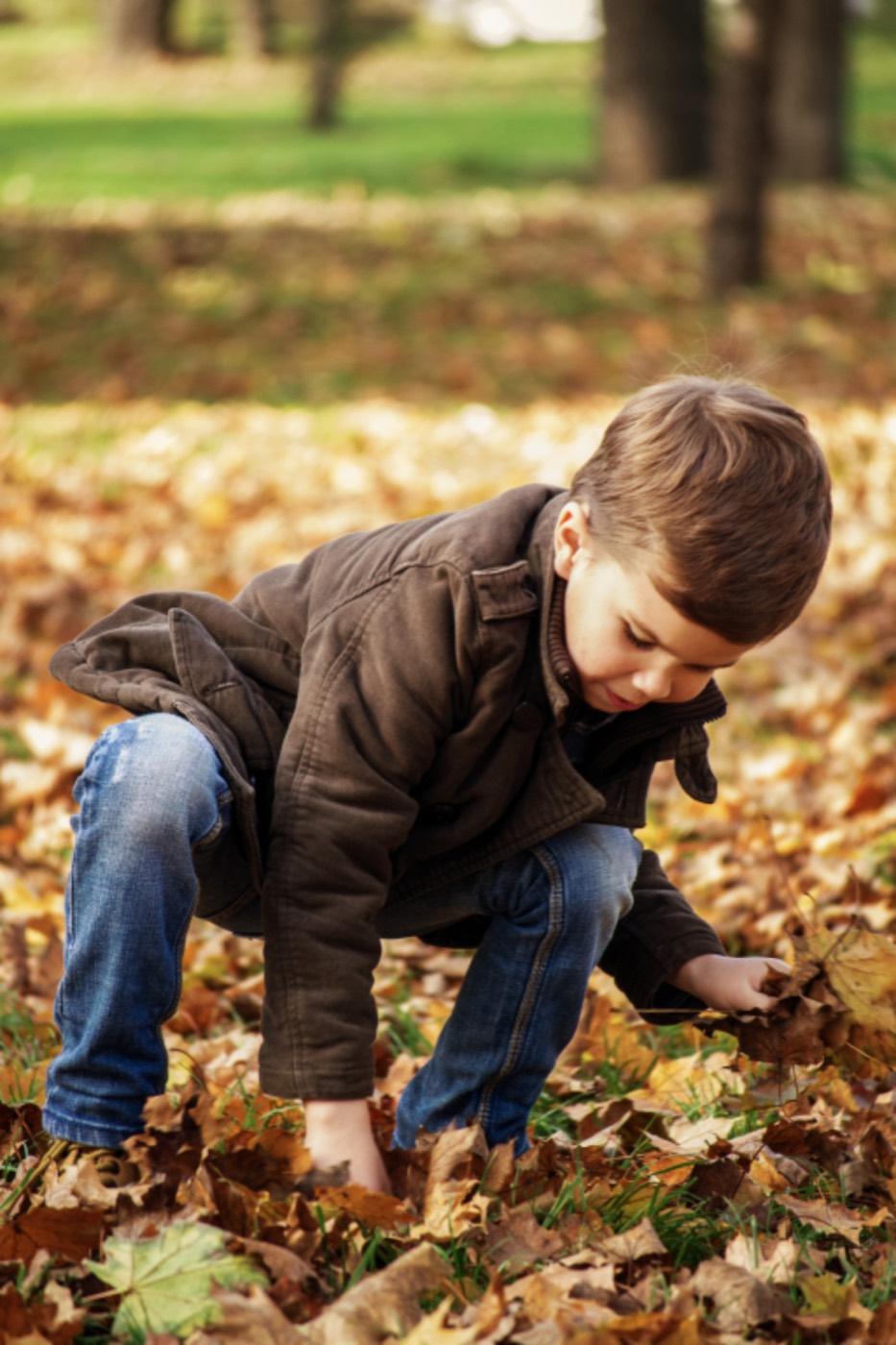 A small boy in a brown jacket crouches to pick up autumn leaves.