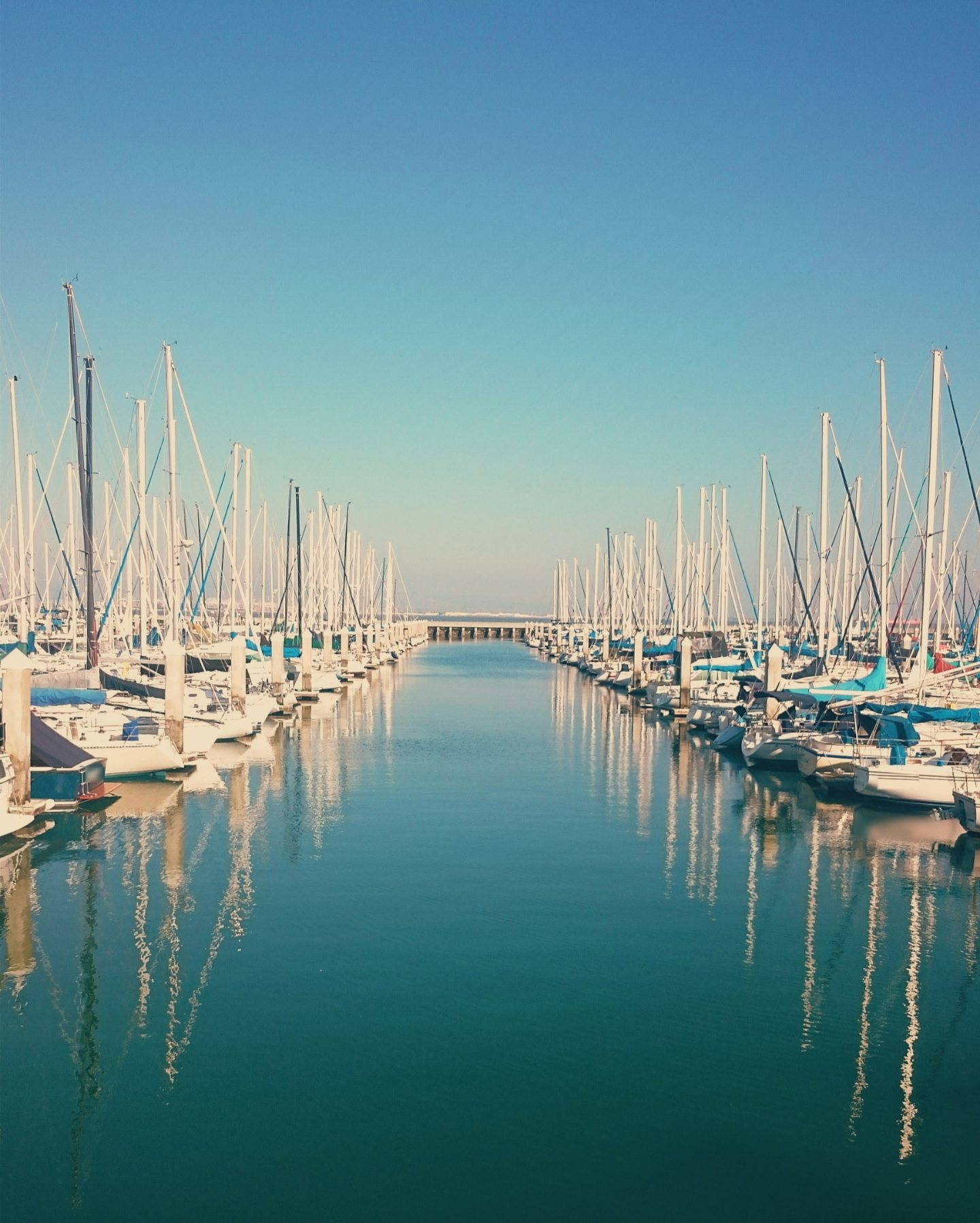 Sailboats moored in two long rows at a calm marina, masts reflected in teal water