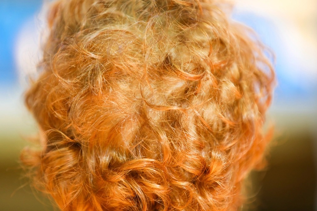 Back of a head of bright copper curls in soft sunlight