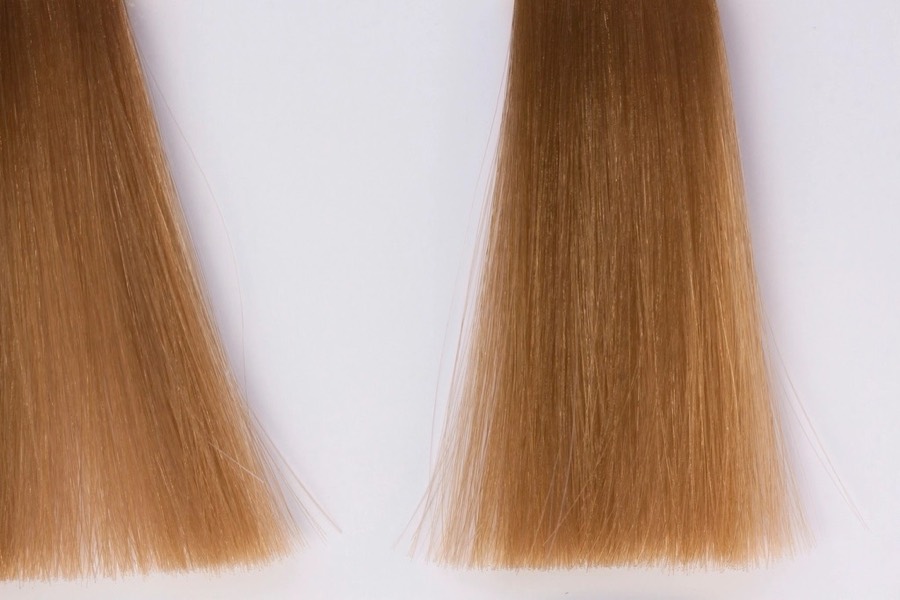 Two golden blonde hair swatch locks laid side by side on white